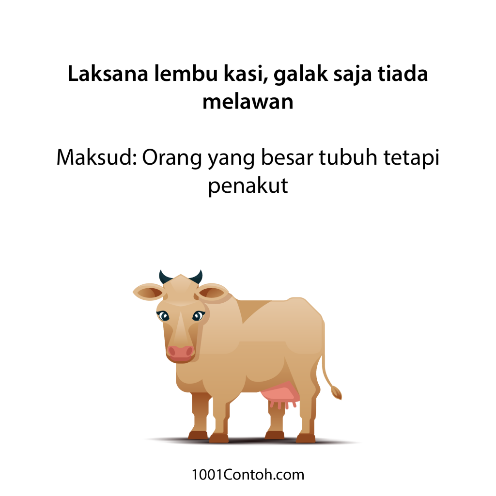 Peribahasa Bergambar: 5 Peribahasa Lembu dan Maknanya
