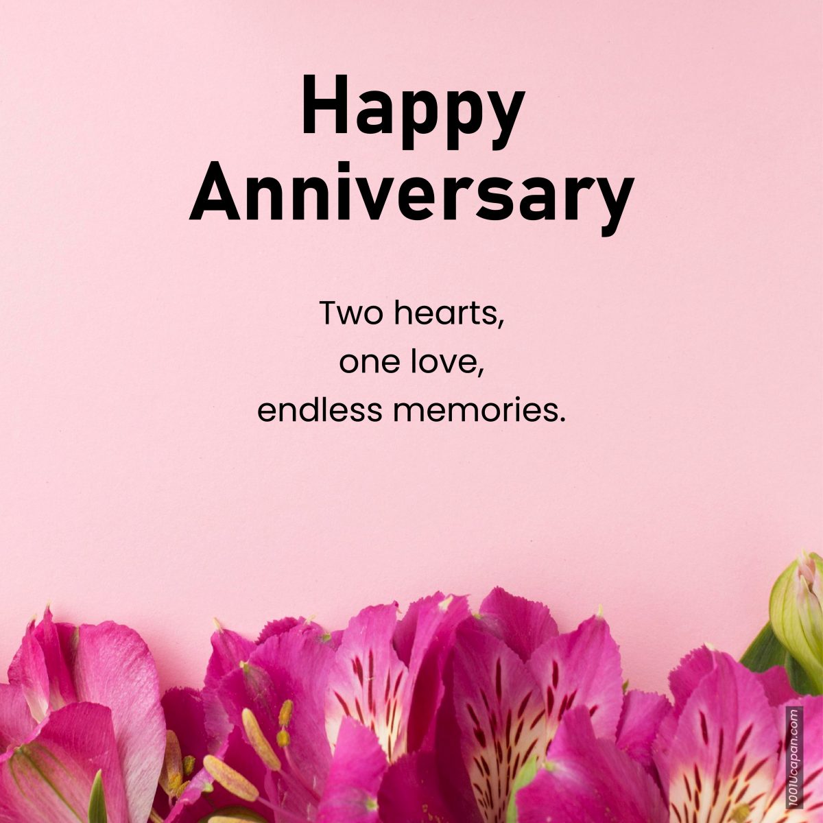 140 Wedding Anniversary Wishes Quotes & Messages - 1001 Contoh